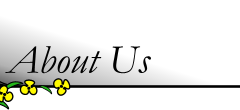 about-us